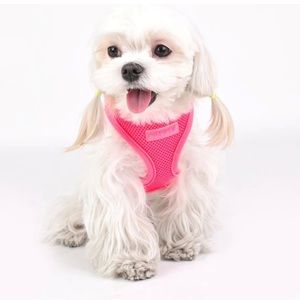 NWT Puppia Neon Soft Dog Harness Size XL